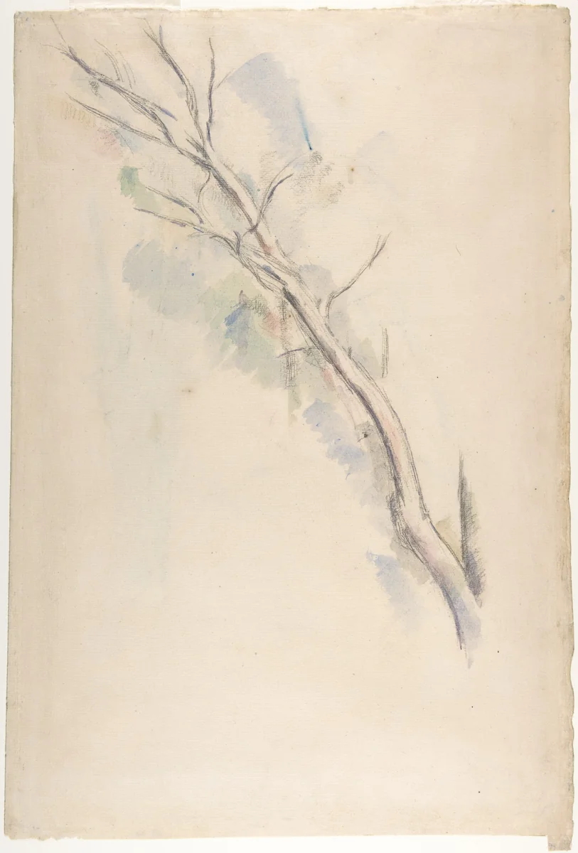 Studies of a tree (recto and verso) by Paul Cézanne, drawing, 1887-1890