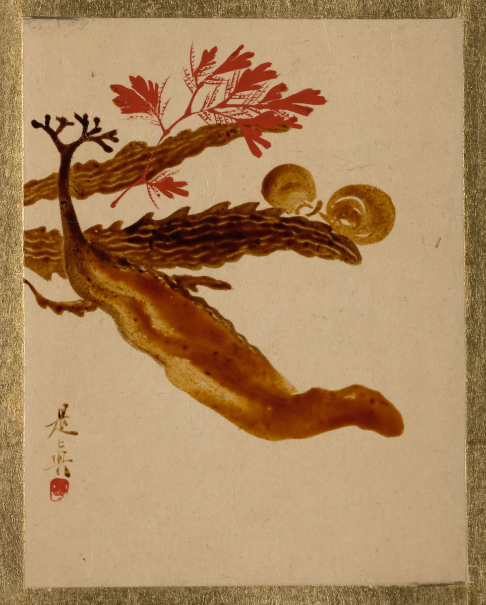 Seaweed by Shibata Zeshin (柴田是真), painting, 1807-1868