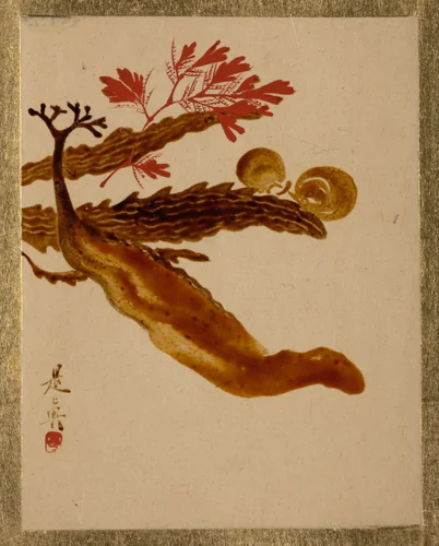 Seaweed by Shibata Zeshin (柴田是真), painting, 1807-1868