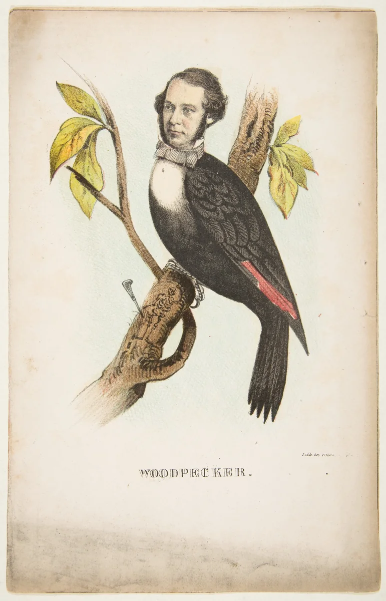 Woodpecker (William B. Gihon), from "The Comic Natural History of the Human Race" by Henry Louis Stephens, print, 1851