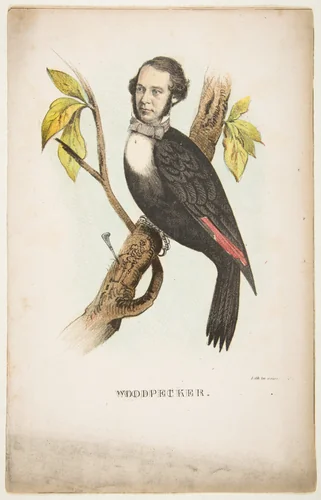 Woodpecker (William B. Gihon), from "The Comic Natural History of the Human Race" by Henry Louis Stephens, print, 1851