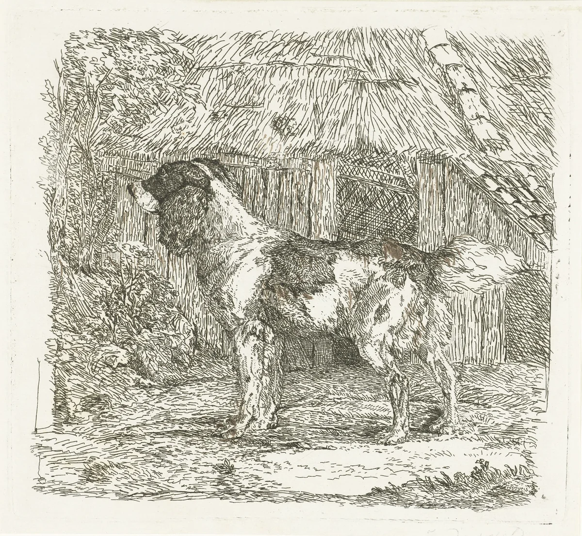 Hond staand bij hok by Jan Dasveldt, print, 1780-1855