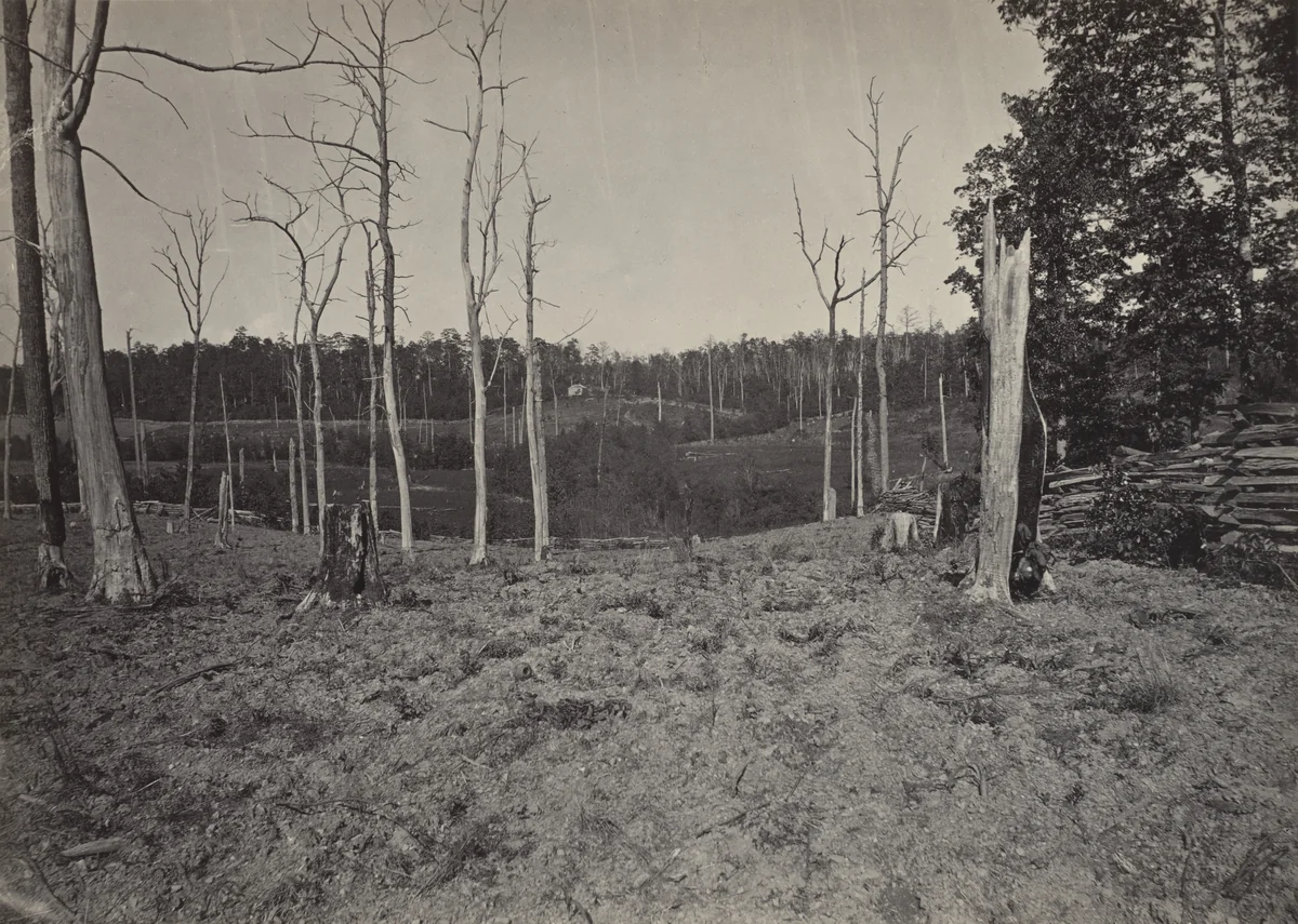 The Battle Ground of Resaca, No. 1 from the album Photographic Views of Sherman's Campaign by George N. Barnard, photograph, 1864