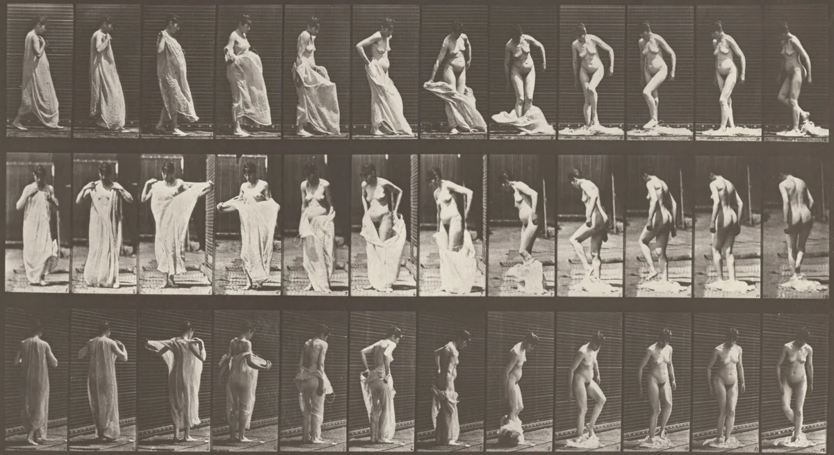 Plate Number 431. Taking off clothing by Eadweard Muybridge, photograph, 1887