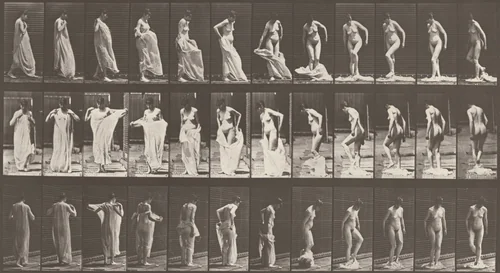 Plate Number 431. Taking off clothing by Eadweard Muybridge, photograph, 1887