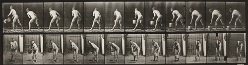 Plate Number 398. Lifting a bucket of water to empty it by Eadweard Muybridge, photograph, 1887
