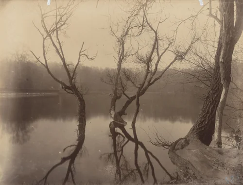 Étang de Corot by Eugène Atget, photograph, 1925