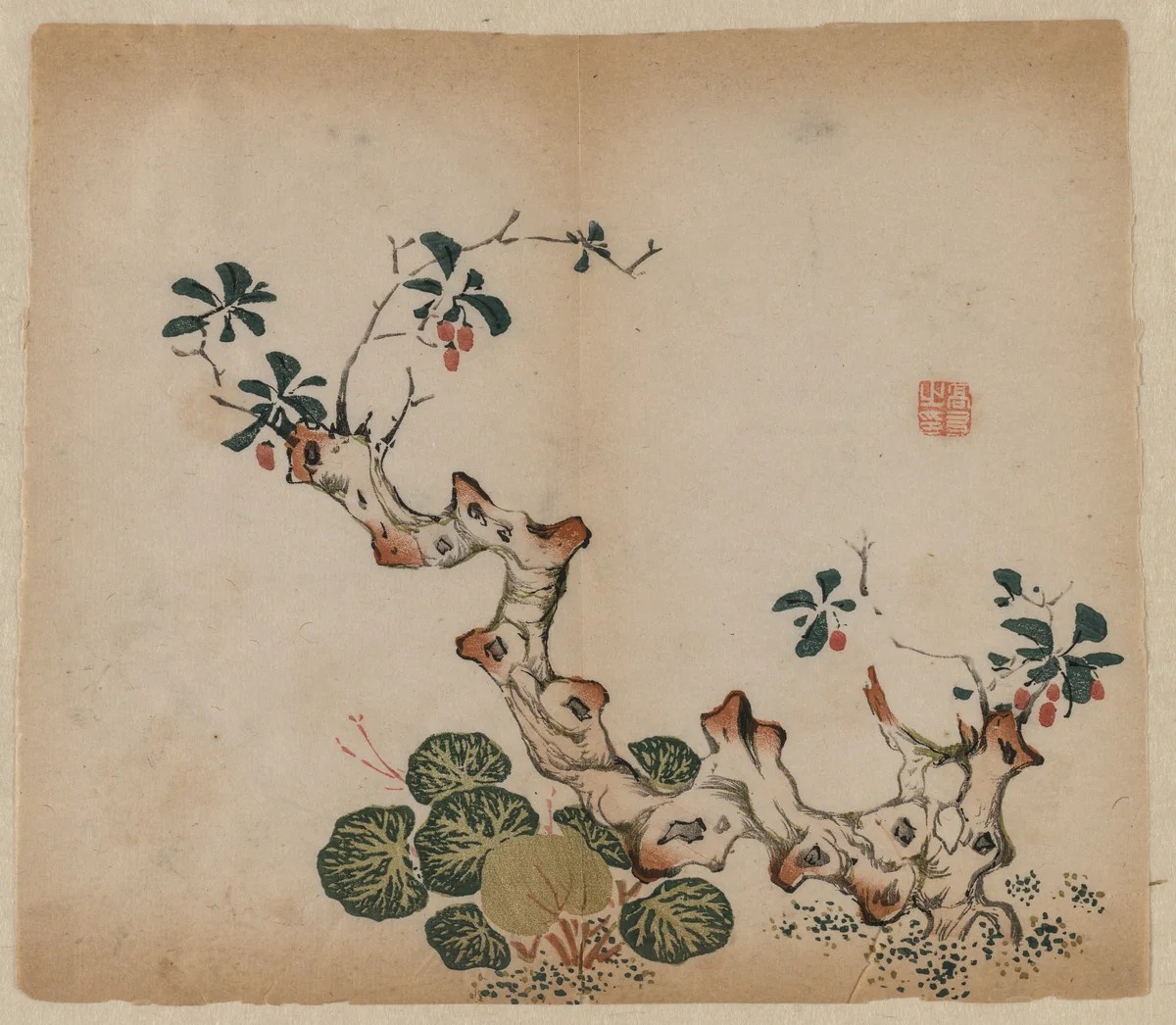 Branching Stump by Unknown, print, 1368-1644