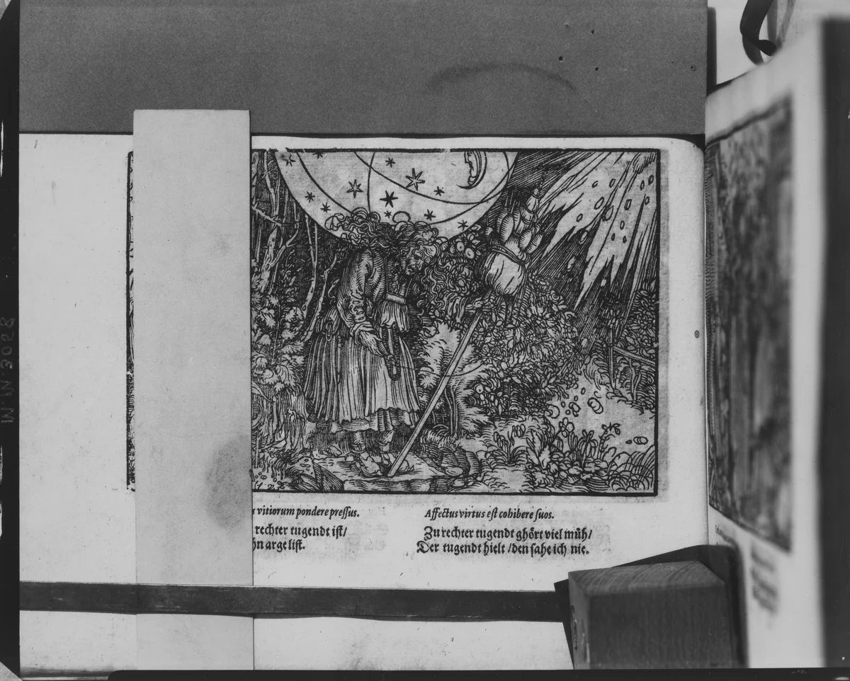 Newe Künstliche Wohlgerissene unnd in Holtz geschnittene Figuren, dergleichen niemahlen gesehen worden. Von den fürtrefflichsten künstlichsten unnd Berühmbtesten Mahlern, Reissern unnd Formschneidern. Als nemblich Albrecht Dürer, Hanß Holbeyn, .... by Hans Weiditz, book, 1620