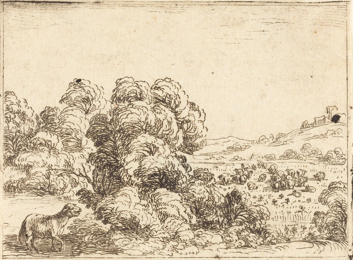 Sheep Calling Lamb by Jacques Callot, print, 1592-1635