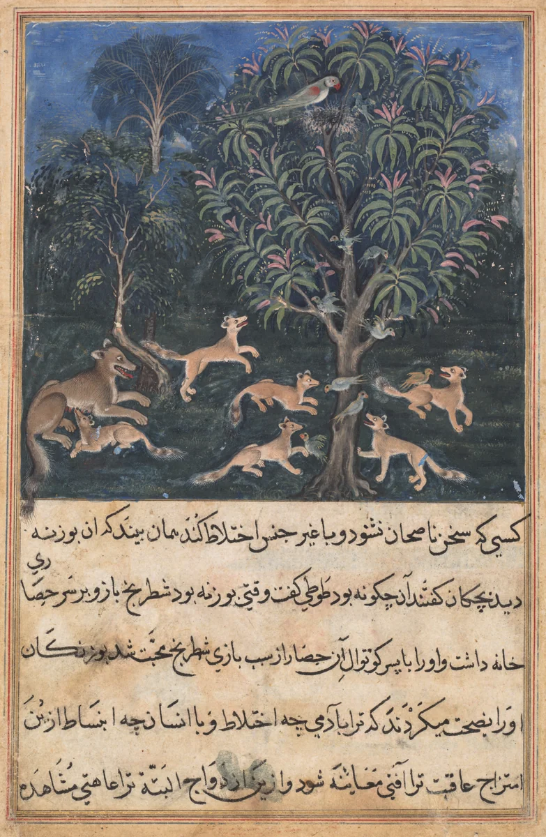 The parrot mother cautions her young on the danger of playing with foxes, from a Tuti-nama (Tales of a Parrot): Fifth Night by Dasavanta, painting, 1555-1565