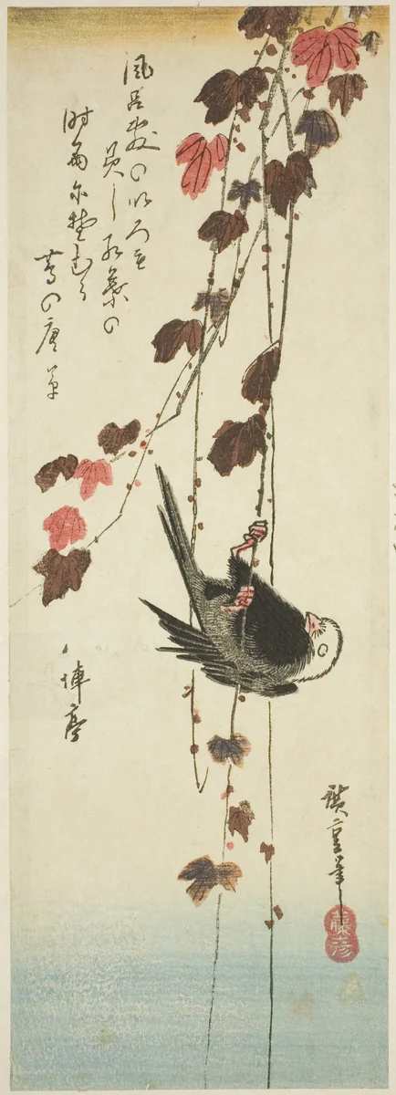 White-headed bird and ivy by Utagawa Hiroshige (歌川広重), print, 1833-1837
