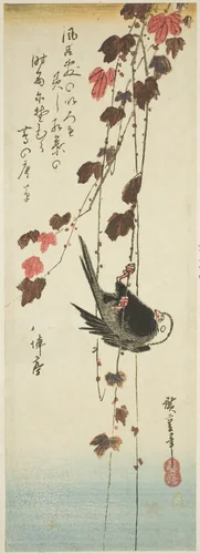 White-headed bird and ivy by Utagawa Hiroshige (歌川広重), print, 1833-1837