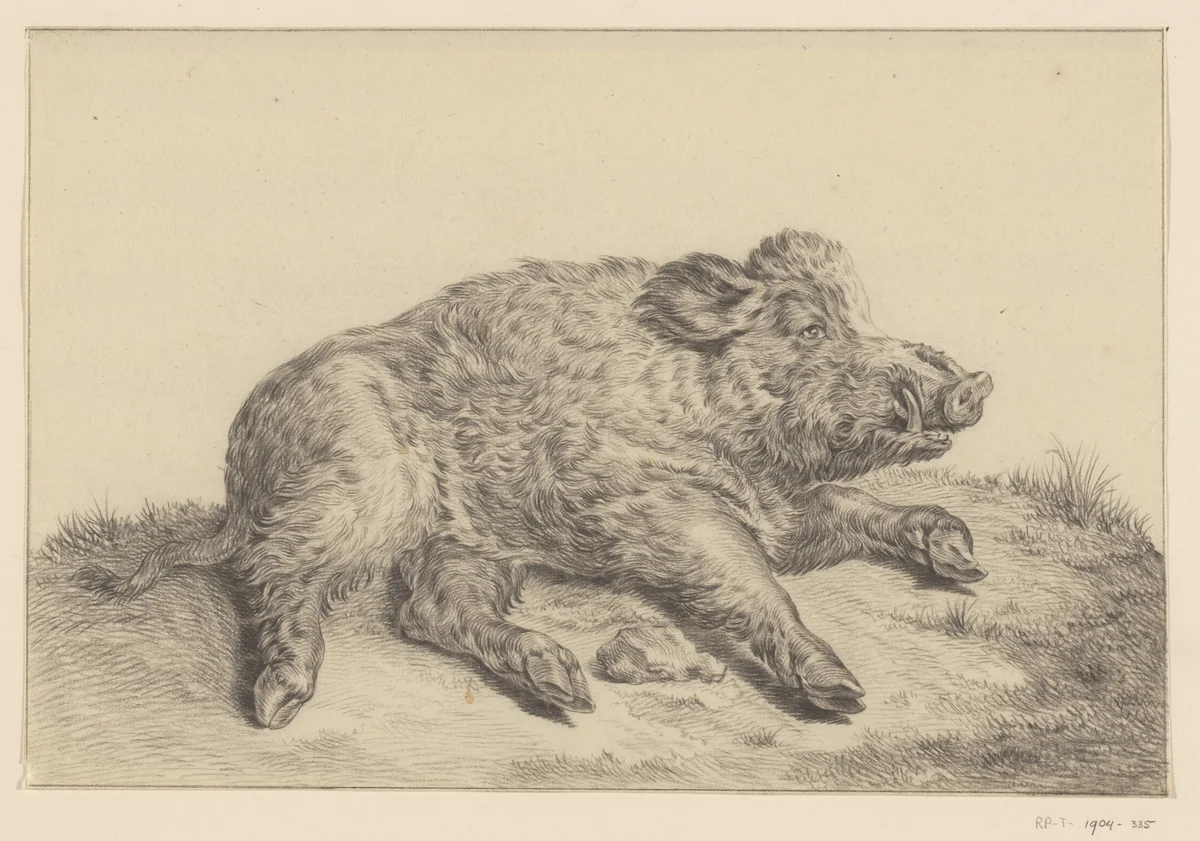 Liggend wild zwijn by Jean Bernard, drawing, 1775-1833