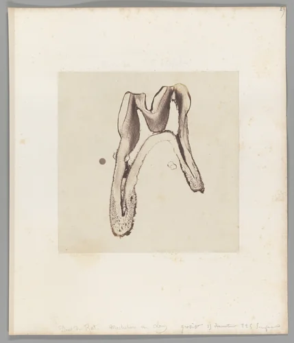 [Untitled] by Auguste-Adolphe Bertsch, photograph, 1853-1857