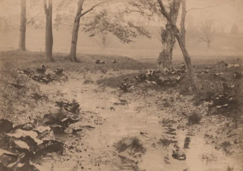 Spring Landscape by Robert S. Redfield, photograph, 1890-1899