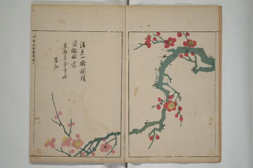 A Collection of Lively Sketches [Of Flowers and Insects] of the Ming Dynasty (Minchō shiken) 明朝紫硯 by Ooka Shunboku (大岡春卜), book, 1807-1817
