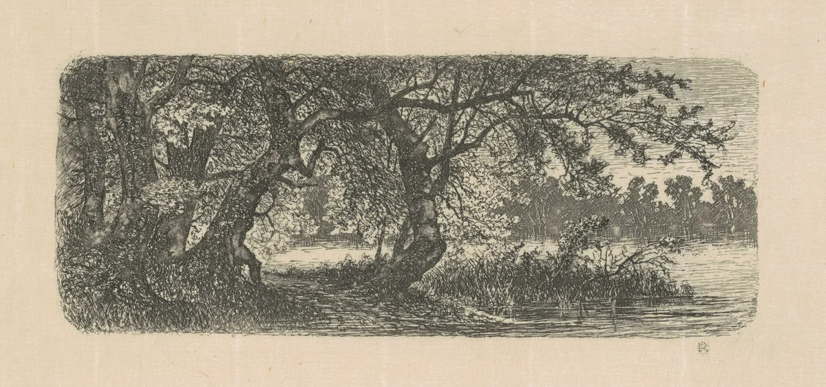 Water Elms by Carl Brenner, print, 1870-1888