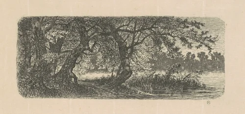 Water Elms by Carl Brenner, print, 1870-1888