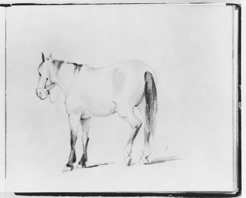 Horse (from Sketchbook) by Francis William Edmonds, artwork, 1835-1839