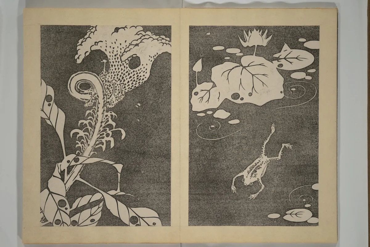Jakuchū Picture Album (Jakuchū gajō} 若冲画帖 by Itō Jakuchū (伊藤若冲), book, 1900
