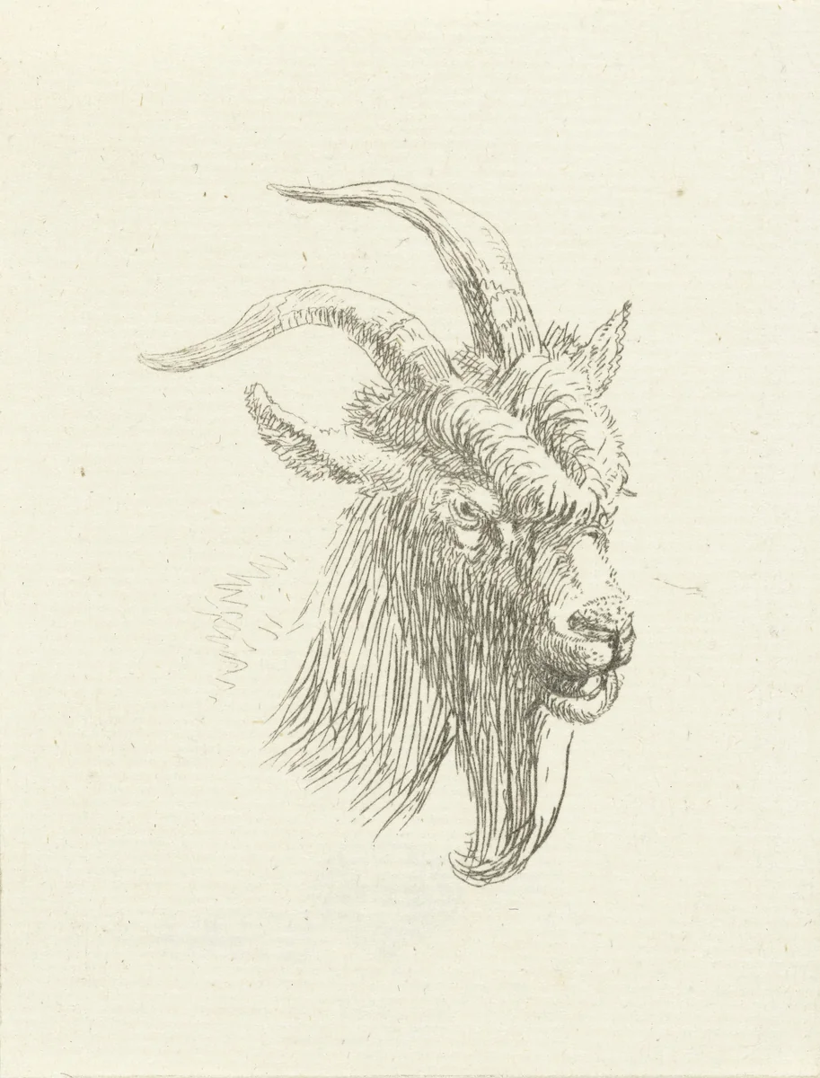Kop van bok by Jan Dasveldt, print, 1780-1855