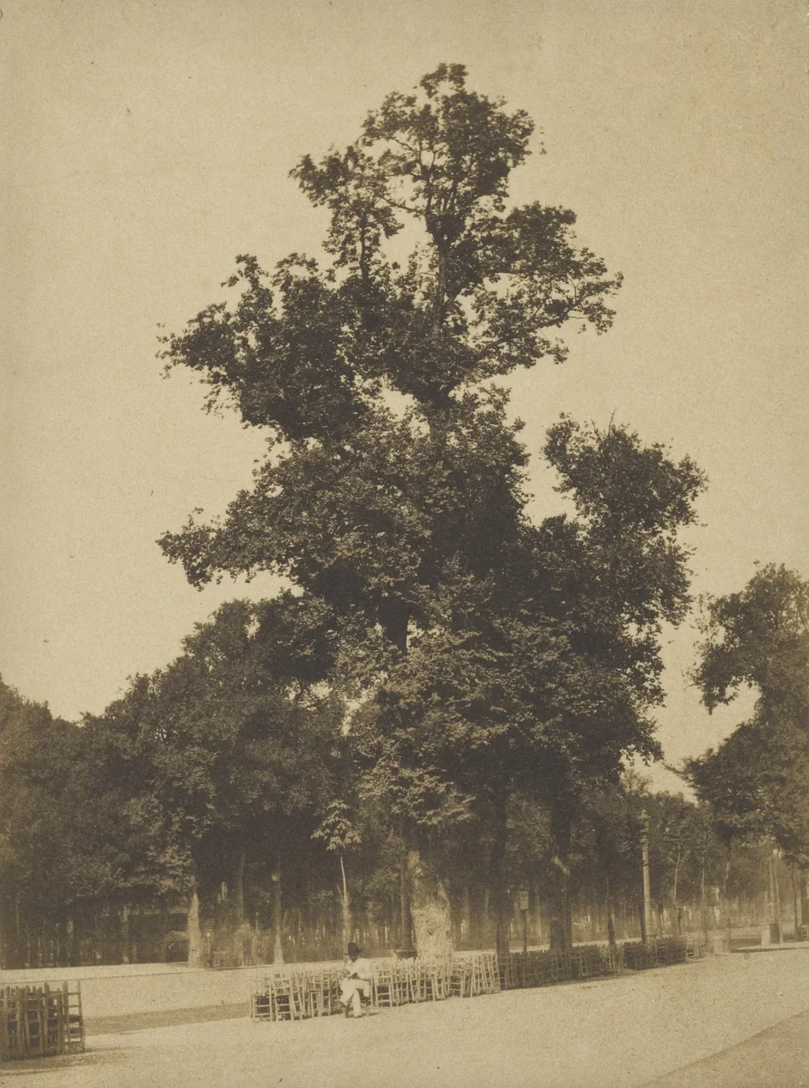 Pré Catalan, Bois de Boulogne, Paris by Auguste-Rosalie Bisson, Louis-Auguste Bisson, photograph, 1856
