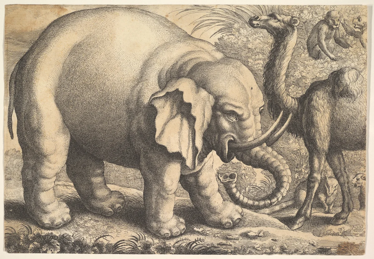 Elephant and Camel (reverse copy) by Wenceslaus Hollar, print, 1663-1700