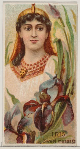 Iris: Sweet Message, from the series Floral Beauties and Language of Flowers (N75) for Duke brand cigarettes by American Tobacco Company, print, 1892