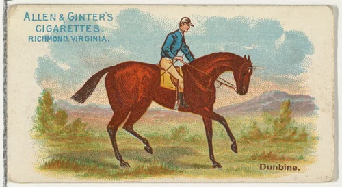 Dunbine, from The World's Racers series (N32) for Allen & Ginter Cigarettes by Allen & Ginter, print, 1888
