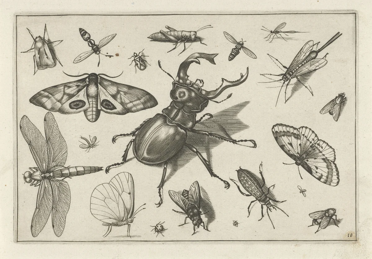 Insecten by Jacob Hoefnagel, print, 1630