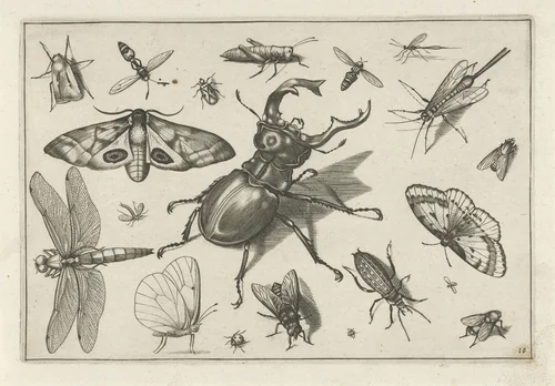 Insecten by Jacob Hoefnagel, print, 1630