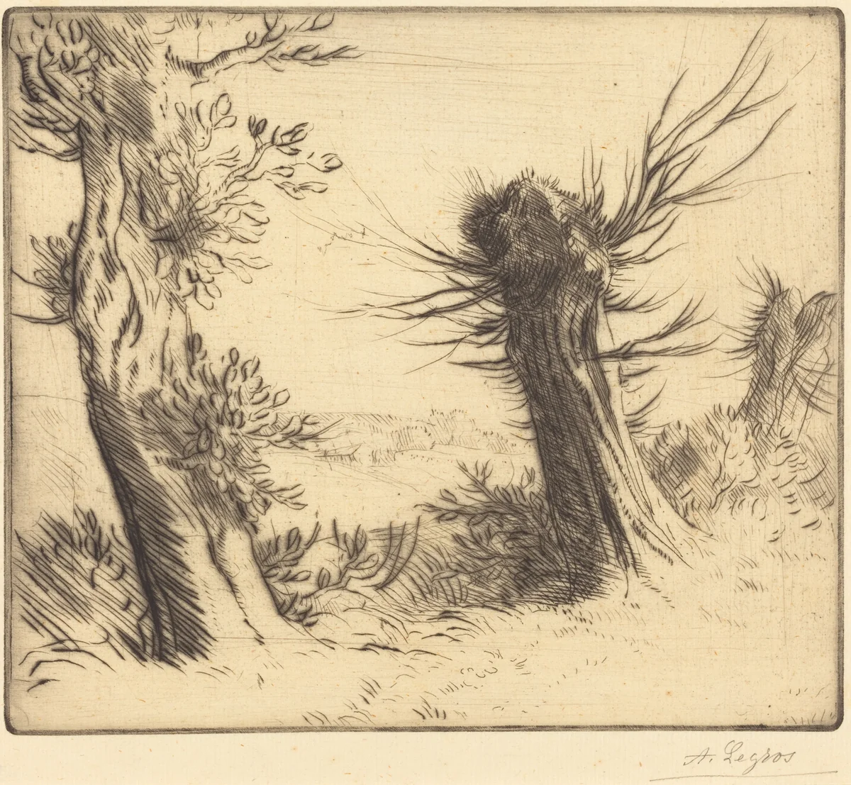 Willows (Les saules) by Alphonse Legros, print, 1837-1911