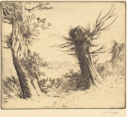 Willows (Les saules) by Alphonse Legros, print, 1837-1911