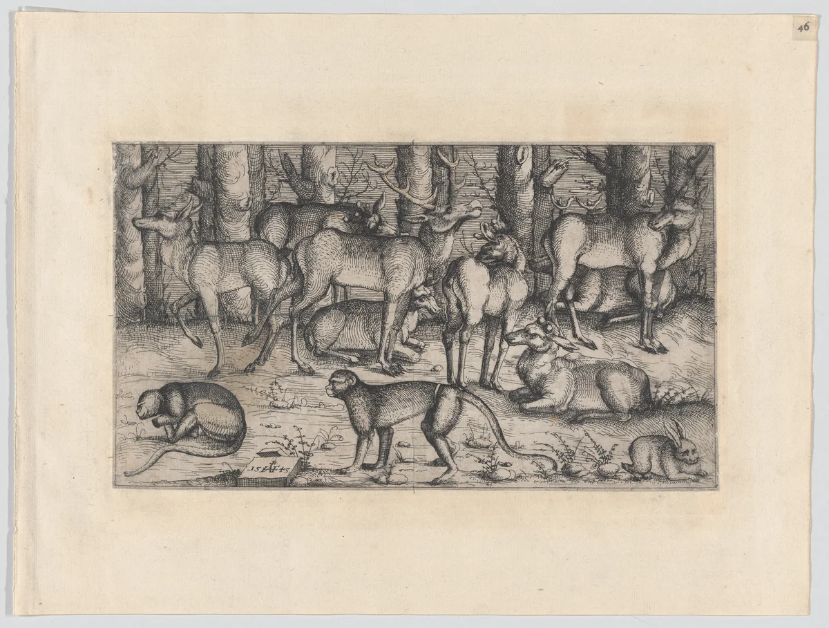 Stags in the Forest by Augustin Hirschvogel, print, 1545