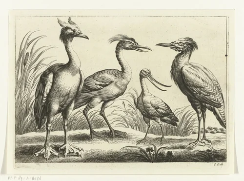 Vier waadvogels by Peter van Liesebetten, print, 1654-1678