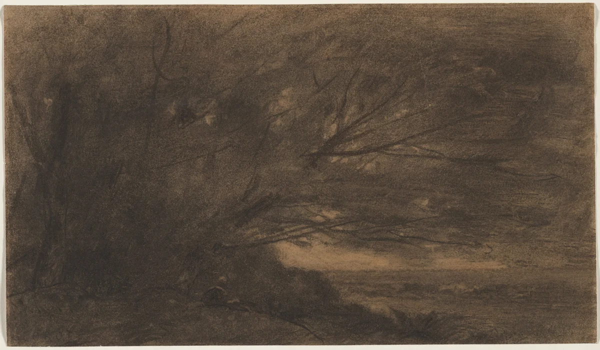 Landscape (The Large Tree) by Jean-Baptiste-Camille Corot, drawing, 1860-1875