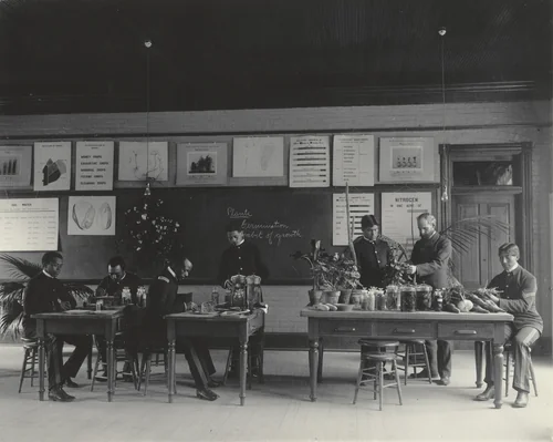 Agriculture. Plant life. Studying the seed by Frances Benjamin Johnston, photograph, 1899