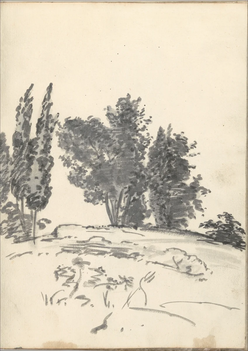 Trees, bushes and vegetation (Smaller Italian sketchbook, leaf 40 recto) by Joseph Wright, drawing, 1774-1775