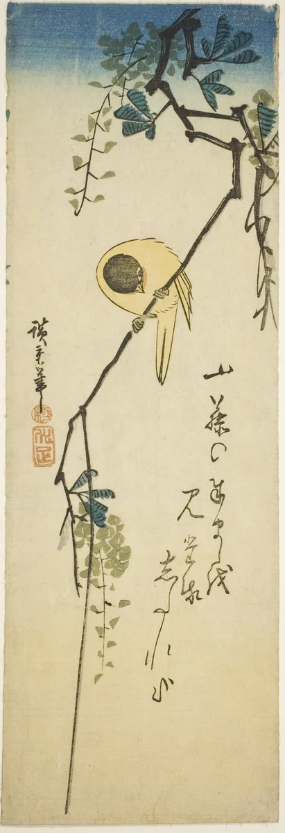 Bird on silky wisteria by Utagawa Hiroshige (歌川広重), print, 1830-1849
