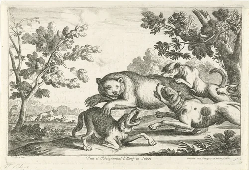 Berenjacht by Gillis Peeters, print, 1622-1653