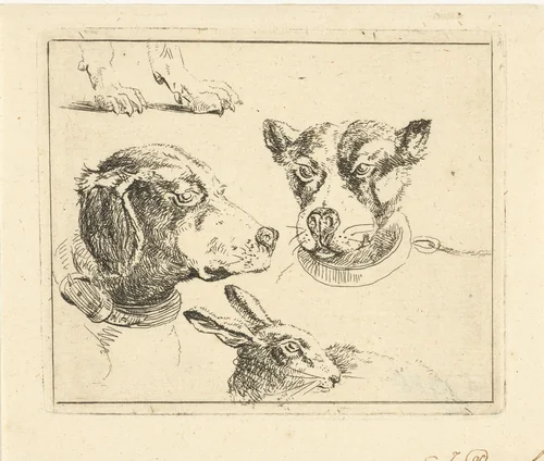 Studieblad met twee hondenkoppen, poten van hond en kop van haas by Jan Dasveldt, print, 1780-1855
