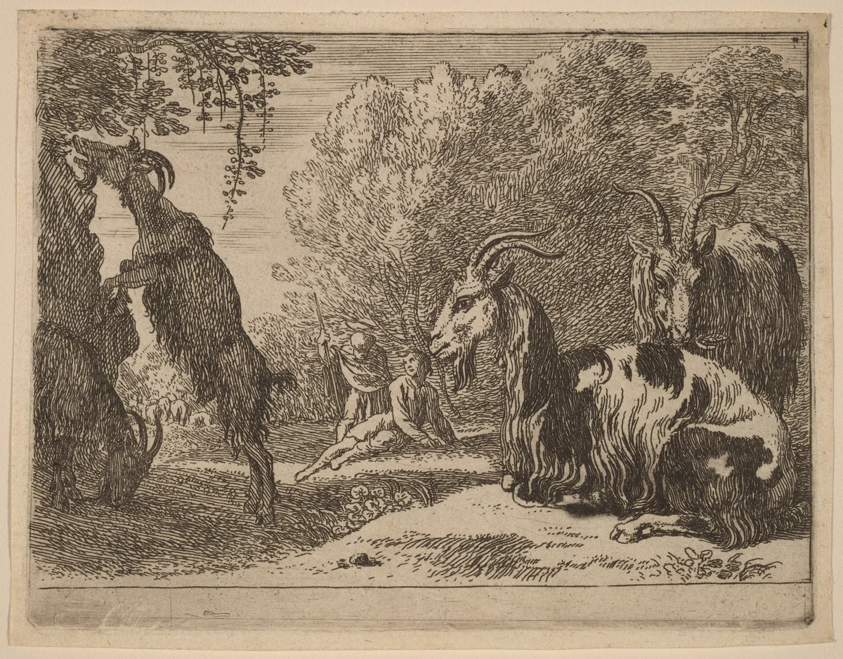 Goats by Herman van Swanevelt, print, 1600-1655