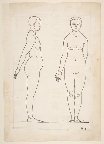 IIllustration from Dürer's "Vier Bucher von Menslicher Proportion" by Albrecht Dürer, print, 1528