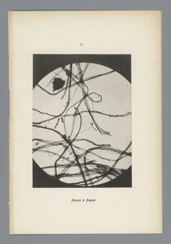 Microfoto’s van papiervezels by anonymous, photograph, 1900