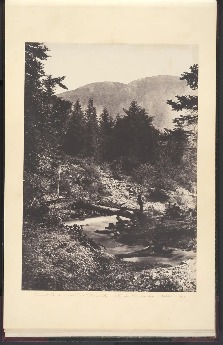 Torrent de la cascade des Demoiselles, Bagnères de Luchon. by Joseph Vigier, photograph, 1853