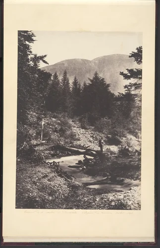 Torrent de la cascade des Demoiselles, Bagnères de Luchon. by Joseph Vigier, photograph, 1853