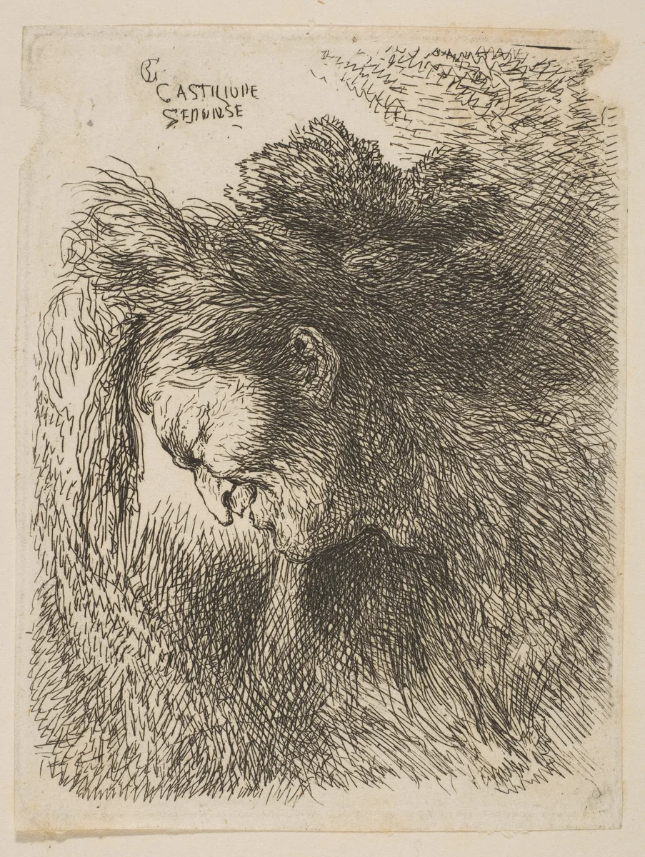 Head of an old man looking down, facing left, from "Small Studies of Heads in Oriental Headress" by Giovanni Benedetto Castiglione, print, 1640-1655