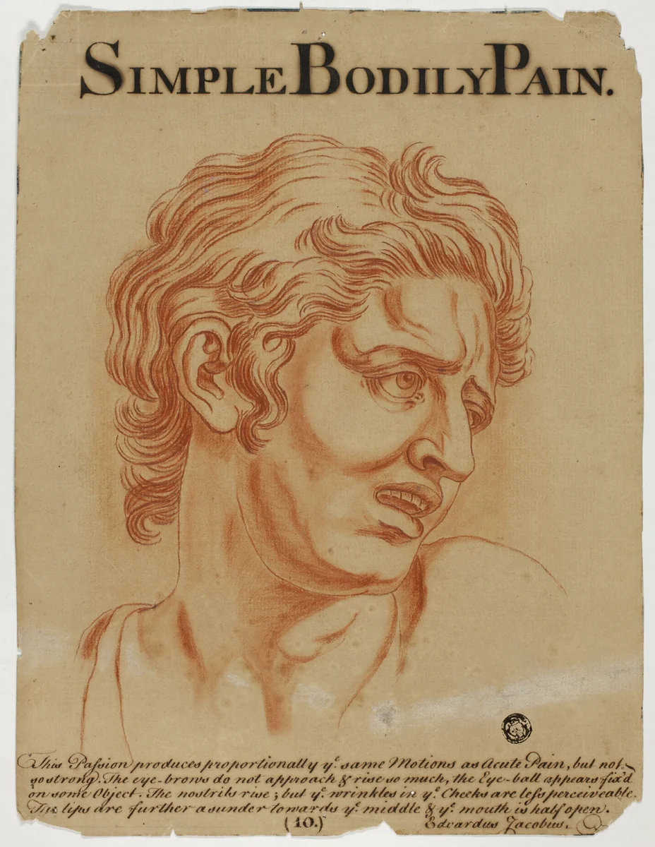 Simple Bodily Pain by Charles Le Brun, drawing, 1698-1799