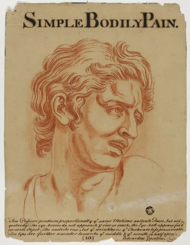 Simple Bodily Pain by Charles Le Brun, drawing, 1698-1799
